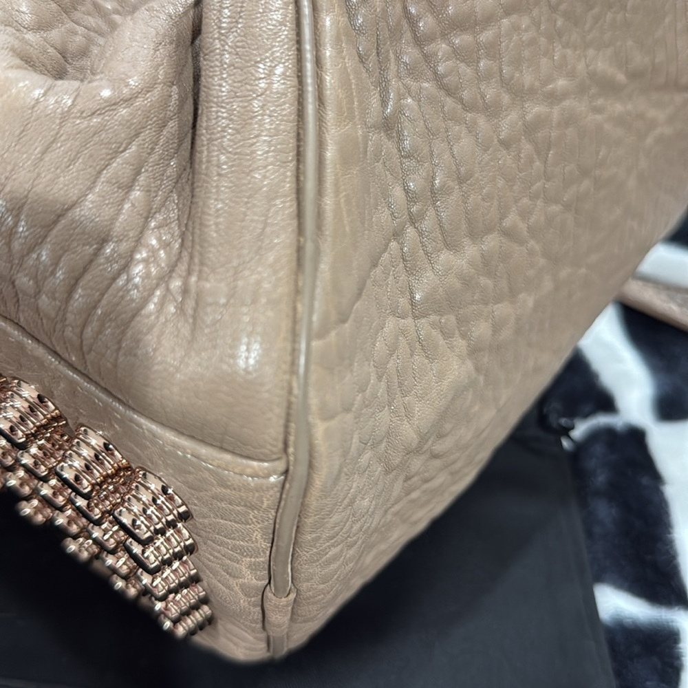 🚫 SOLD 🚫 Alexander Wang Rocco Handbag in Latte with Rose Gold Hardware - Picture 10 of 16